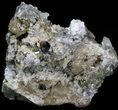 Anatase Crystals and Quartz Association - Pakistan #38658-2